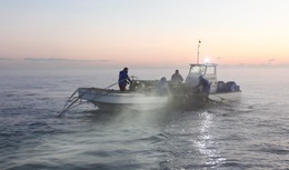 営業・海苔作業【移住支援金対象】