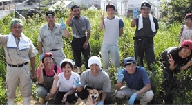 養豚業【移住支援金対象】