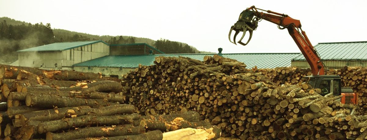 山林作業【移住支援金対象】