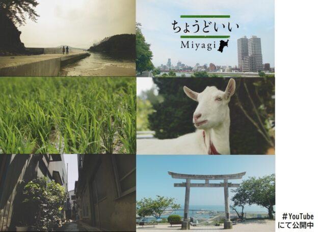 スライド大１（ちょうどいいMiyagi）