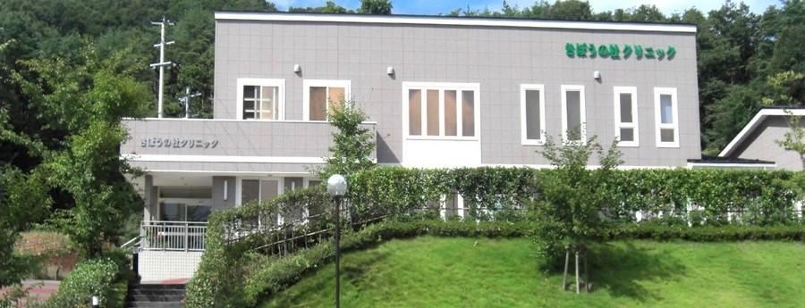 免疫細胞の培養 【移住支援金対象】